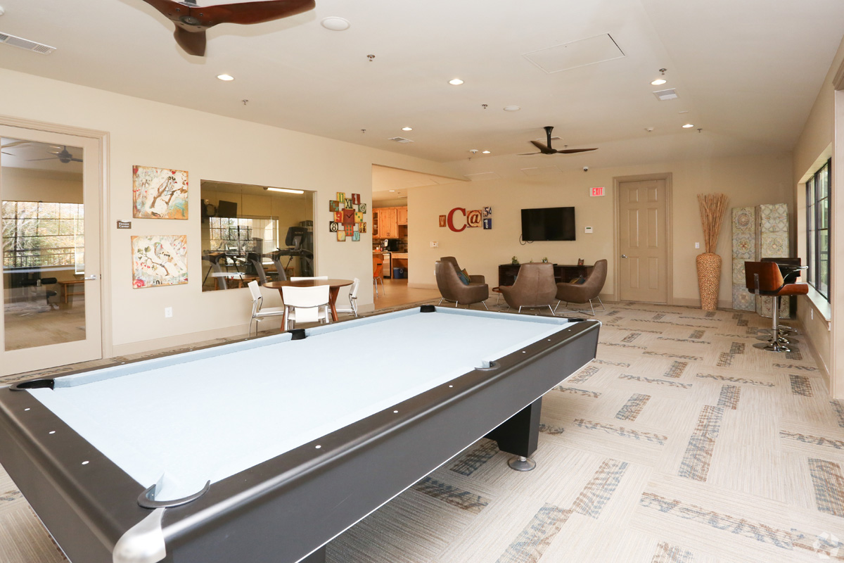 Game room with pool table, lounge seating and satellite TV
