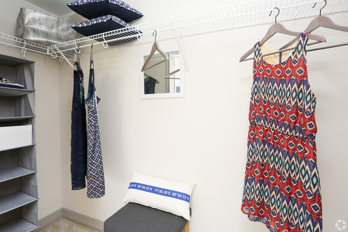Walk-in closet with hanging racks, shelves, and plush carpeting